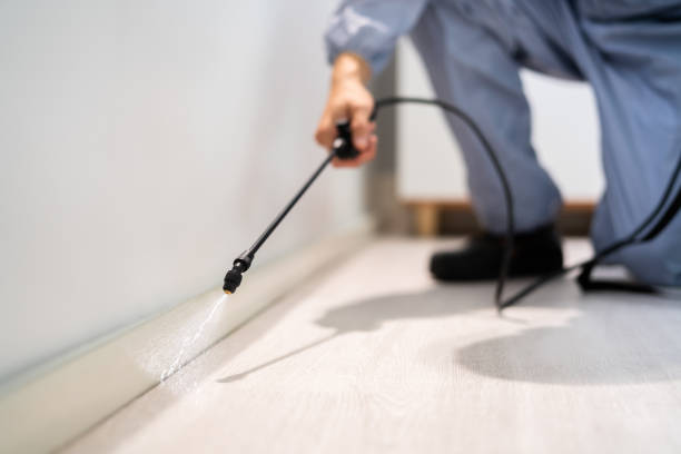 Licensed Termite Control service in Stephens County County, OK - Nex Pest Control