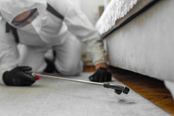 Professional Termite Control technician working in Stephens County County, OK